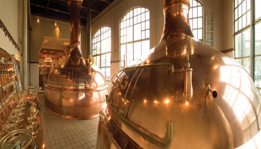 Who Invented Beer?